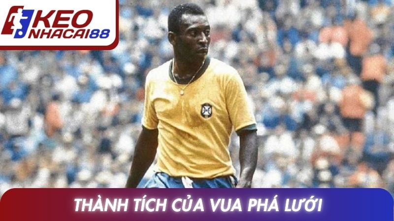 Pelé Và Hành Trình Sự Nghiệp Huy Hoàng Của Vua Bóng Đá 3 Thành tích của vua phá lưới